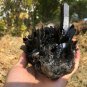 808g Natural beautiful smoky black quartz cluster crystal specimen healing JQ49