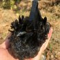 808g Natural beautiful smoky black quartz cluster crystal specimen healing JQ49