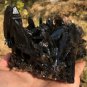 808g Natural beautiful smoky black quartz cluster crystal specimen healing JQ49