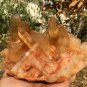 1602g Natural smoky citrine quartz cluster crystal specimen healing JC50