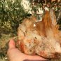 1602g Natural smoky citrine quartz cluster crystal specimen healing JC50