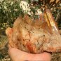 1602g Natural smoky citrine quartz cluster crystal specimen healing JC50