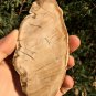 178g COLORFUL RAINBOW FANTASTIC Madagascar Petrified Wood Round Slab Bark #MHS16