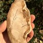 178g COLORFUL RAINBOW FANTASTIC Madagascar Petrified Wood Round Slab Bark #MHS16
