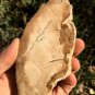 178g COLORFUL RAINBOW FANTASTIC Madagascar Petrified Wood Round Slab Bark #MHS16