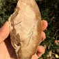 178g COLORFUL RAINBOW FANTASTIC Madagascar Petrified Wood Round Slab Bark #MHS16