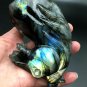 535.1g Natural Labradorite Hand sculpture horse Crystal Rough Polished