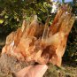 3254g Natural smoky citrine quartz cluster crystal specimen healing JC62