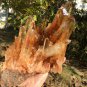 3254g Natural smoky citrine quartz cluster crystal specimen healing JC62