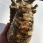 Natural Ammonite Nautilus Shell Jurrassic Fossil Specimen Madagascar 3220g