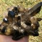 986g Natural smoky citrine quartz cluster crystal specimen healing JC4
