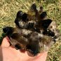 986g Natural smoky citrine quartz cluster crystal specimen healing JC4