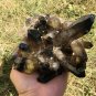 986g Natural smoky citrine quartz cluster crystal specimen healing JC4
