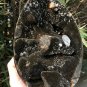 2990g Natural dragon septarian geode quartz Egg cluster crystal healing