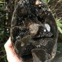 2990g Natural dragon septarian geode quartz Egg cluster crystal healing