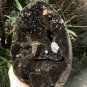 2990g Natural dragon septarian geode quartz Egg cluster crystal healing