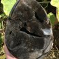 3976g Natural dragon septarian geode quartz Egg cluster crystal healing #ZH91
