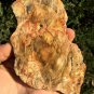 198g COLORFUL RAINBOW FANTASTIC Madagascar Petrified Wood Round Slab Bark #MHS6