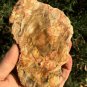 198g COLORFUL RAINBOW FANTASTIC Madagascar Petrified Wood Round Slab Bark #MHS6