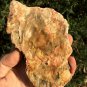 198g COLORFUL RAINBOW FANTASTIC Madagascar Petrified Wood Round Slab Bark #MHS6