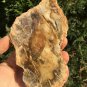 198g COLORFUL RAINBOW FANTASTIC Madagascar Petrified Wood Round Slab Bark #MHS6
