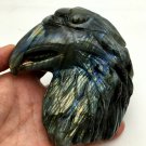 801.3g Natural Labradorite Hand sculpture eagle   Crystal Rough Polished