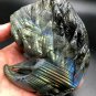 801.3g Natural Labradorite Hand sculpture eagle Crystal Rough Polished