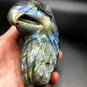 801.3g Natural Labradorite Hand sculpture eagle Crystal Rough Polished