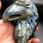 801.3g Natural Labradorite Hand sculpture eagle Crystal Rough Polished