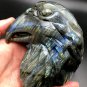 801.3g Natural Labradorite Hand sculpture eagle Crystal Rough Polished