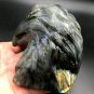 801.3g Natural Labradorite Hand sculpture eagle Crystal Rough Polished