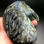 801.3g Natural Labradorite Hand sculpture eagle Crystal Rough Polished