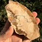 173g COLORFUL RAINBOW FANTASTIC Madagascar Petrified Wood Round Slab Bark #MHS4