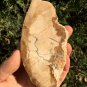 173g COLORFUL RAINBOW FANTASTIC Madagascar Petrified Wood Round Slab Bark #MHS4