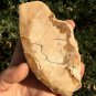 173g COLORFUL RAINBOW FANTASTIC Madagascar Petrified Wood Round Slab Bark #MHS4