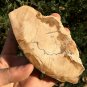 173g COLORFUL RAINBOW FANTASTIC Madagascar Petrified Wood Round Slab Bark #MHS4