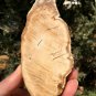 223g COLORFUL RAINBOW FANTASTIC Madagascar Petrified Wood Round Slab Bark #MH35