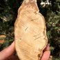 223g COLORFUL RAINBOW FANTASTIC Madagascar Petrified Wood Round Slab Bark #MH35