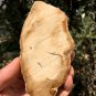 223g COLORFUL RAINBOW FANTASTIC Madagascar Petrified Wood Round Slab Bark #MH35