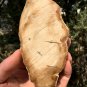 223g COLORFUL RAINBOW FANTASTIC Madagascar Petrified Wood Round Slab Bark #MH35