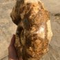 10.83 lb HUGE White Pretty Ribbed Whole Ammonite Nautilus Fossil #DZ89