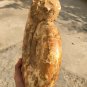 8.95lb HUGE White Pretty Ribbed Whole Ammonite Nautilus Fossil #DZ87