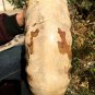 22.51 lb HUGE White Pretty Ribbed Whole Ammonite Nautilus Fossil #DZ89