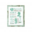 Ariel Birth Announcement