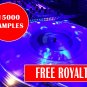 Samples & Loops Pack, WAV, Audio, Digital, Track, Loop, Create Music, FL. Pro