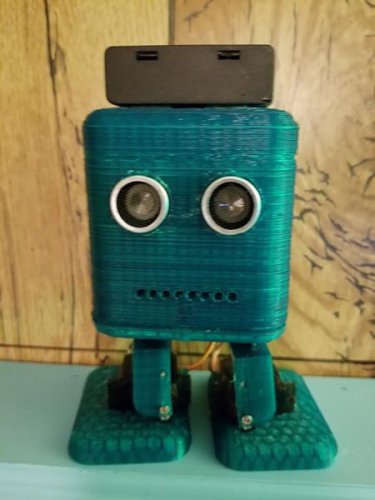 Bipedal Robot Kit