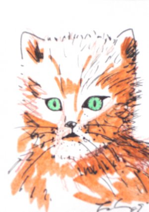 c02 ACEO Original Drawing 2.5 x3.5" Free Shipping