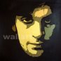 050 Pink Floyd Sydbarrett Modern Painting pop art 20"20
