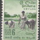 Ceylon 1951 -1954