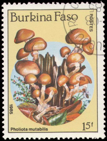 Burkina Faso 1985 (used)